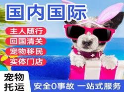 庆阳航空货运国际宠物托运 【国